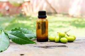Bottle of Neem Oil showcasing benefits for skincare, hair care, and gardening.