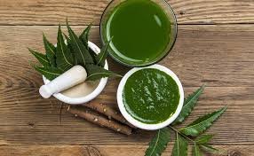 Bottle of Neem Oil showcasing benefits for skincare, hair care, and gardening.