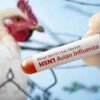 Infographic on bird flu transmission pathways